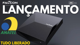 Falcon Prime - 4K - 2/16GB